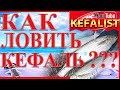 Рыбалка в Скадовске - #как #ловить #кефаль