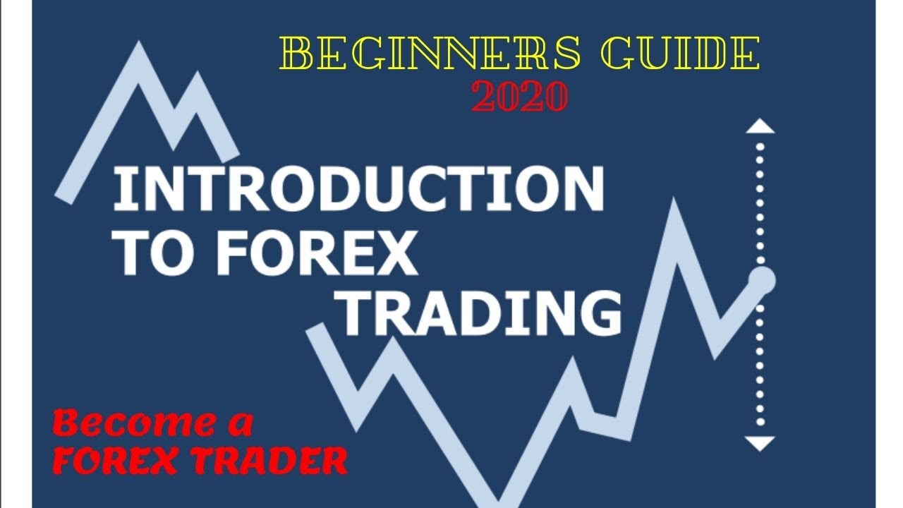 Introduction to Forex Trading for Beginners | WHAT IS FOREX TRADING ...