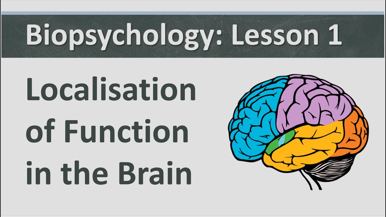 research support for localisation of function