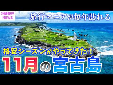 【11月の宮古島】旅行前必見💡沖縄マニアが毎年訪れるには理由がある!格安穴場シーズン🤫2024年最新基本情報まとめ/天気・台風・混雑状況・服装・最新グルメや注意点もまとめて紹介⚠️
