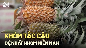 Khóm Tắc Cậu - đệ nhất khóm miền Nam | VTV24