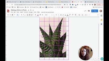 Making a Grid on a Photo - Google Drawings