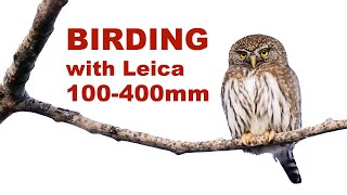 Birding with the Leica 100-400mm lens