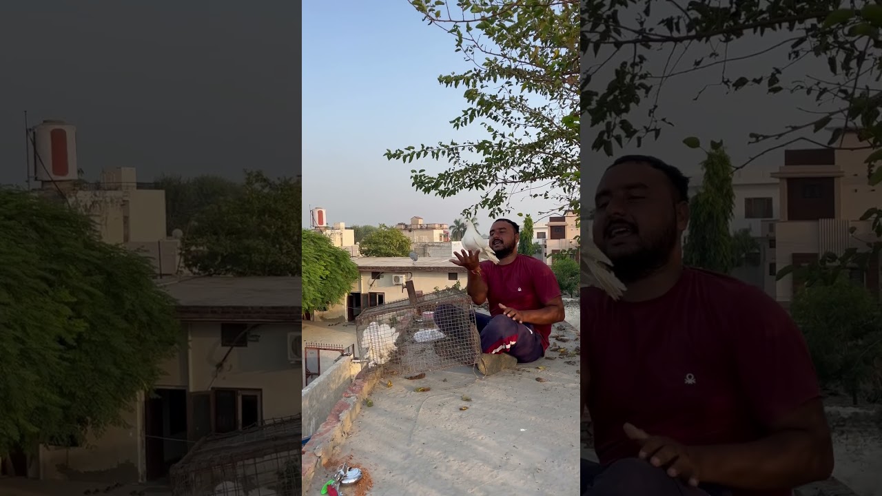 Life Punjabi song stutes 