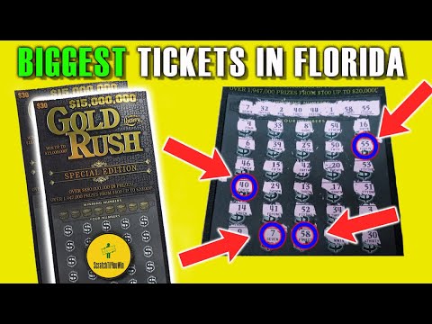 BIG FLORIDA LOTTERY SCRATCH OFF TICKET WIN - $30 Gold Rush Special Edition - BIG WINNER!