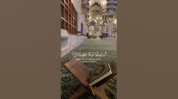 سورة النساء {الآية 27} بصوت الشيخ ياسر الدوسري ❤️💖