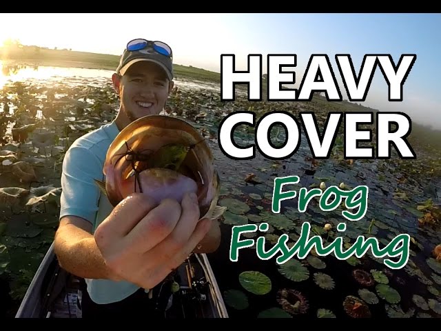 Frog Fishing in Heavy Cover for Largemouth Bass 