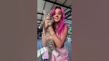Hello My Name Is Zuzie Eva Miller Tik Tok Evamiller Millereva Xoteam Tiktok Tiktoktrend Shorts 