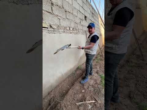 كيف تعالج حشرة الارضة تم معالجة حشرة الارضه في منطقة الامين بغداد زراعة حشرة