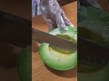 Thu hoạch dưa bở to bự | Harvest big melons