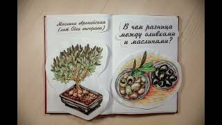 Родичева А. Ю.: покадровая анимация «Читая книги»