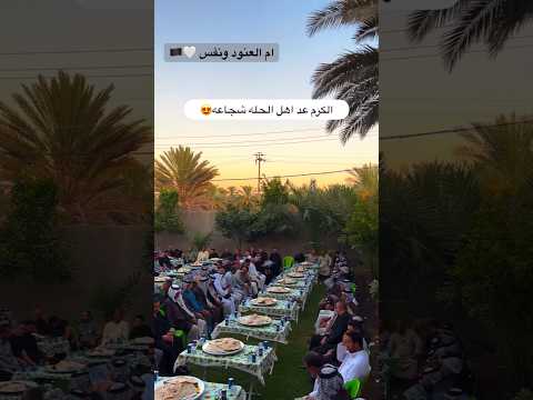 كرم اهل الحله عاشوراء الحسين   اكسبلور ترند محرم مشاية العراق تيك توك