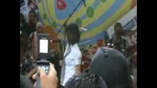 BUTTERFLY KUCING GARONG