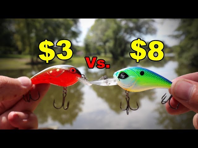 CHEAP vs GOOGAN Crankbait (Which Is Better?) 