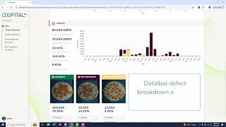 Frozen Pizza Inspection Analytics Dashboard