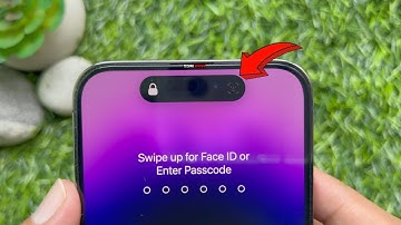 How To Turn Off Haptic On Successful Face ID Authentication