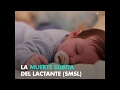 La Postura Más Segura Para Que Duerma Tu Bebé La Postura Más Segura Para Que Duerma Tu Bebé