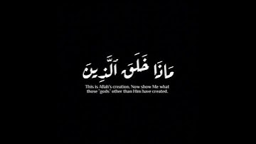 (هذا خلق الله )| هيثم الدخين | سورة لقمان #krumat #كرومات #شاشه_سوداء #quran