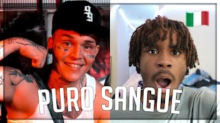 GALLAGHER TCARDI x 9SKI FLOCKA - PURO SANGUE REACTION !!! 🇮🇹