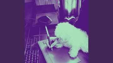 Pulsating Backdrops for Morning Dog Training