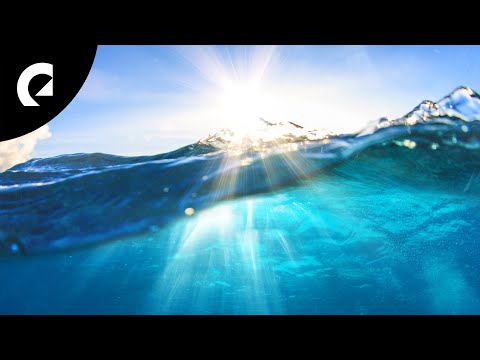 Owen Meyers - Djupet