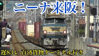 EF66-27牽引 遅83レ 城北公園通通過