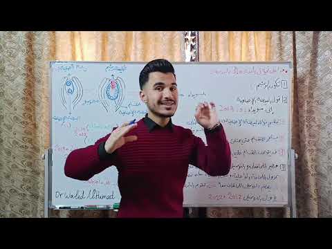 مغلفات البذور مراحل تحول البذيرة إلى بذرة مصير اللحافتان و اللنوسيل د وليد الحمد 
