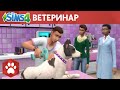 Официальный трейлер игрового процесса «The Sims 4 Кошки и собаки»: ветеринар