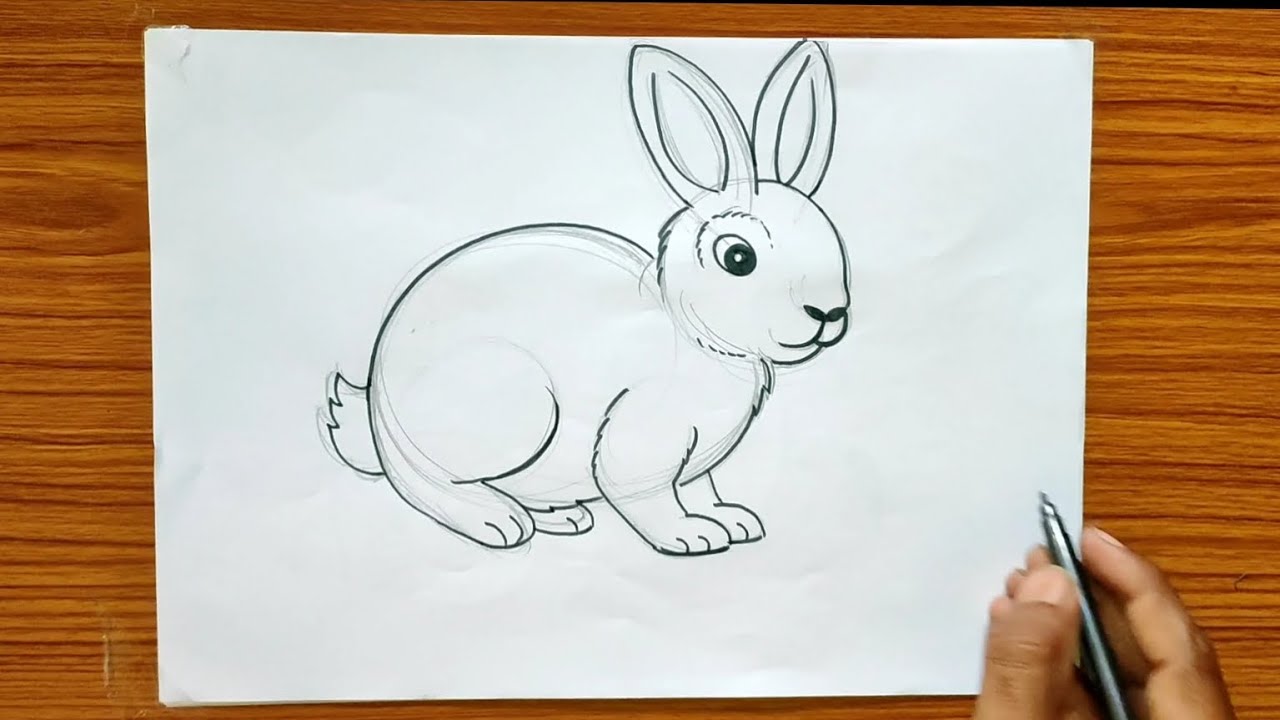 Rabbit Pencil Drawing  How to Sketch Rabbit using Pencils   DrawingTutorials101com