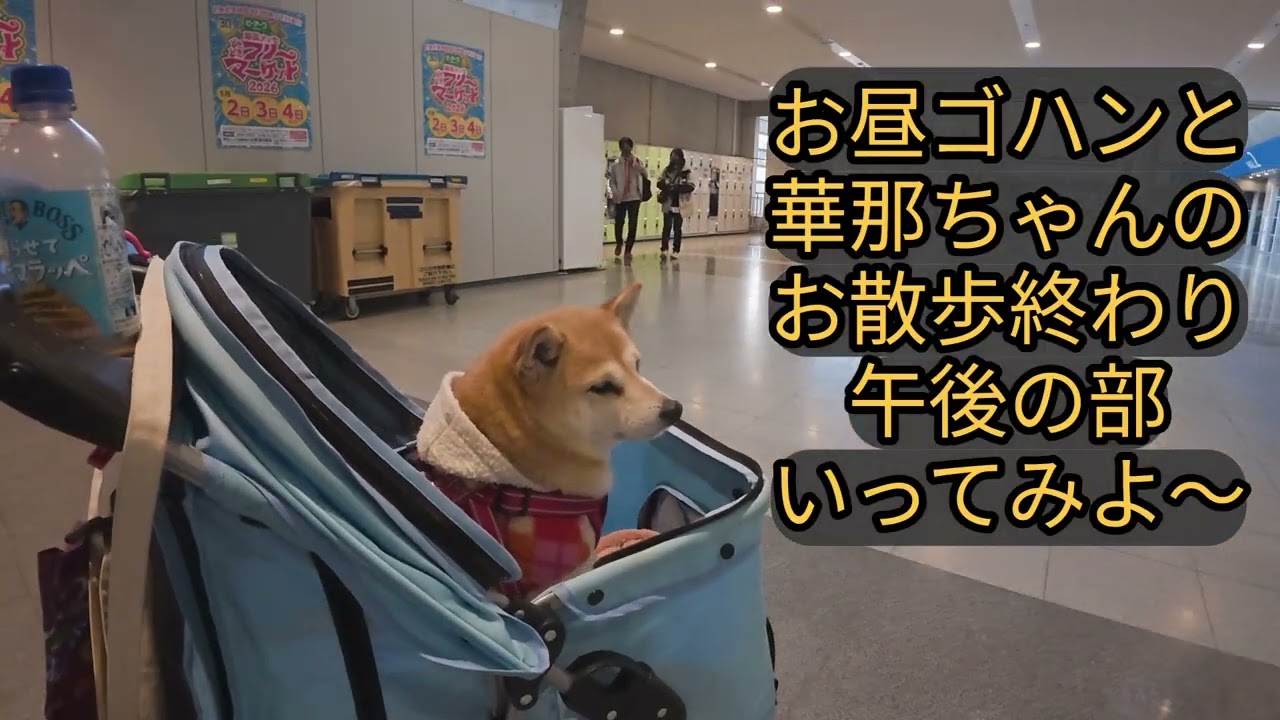 Everydayクリッパー 華那ちゃんと一緒