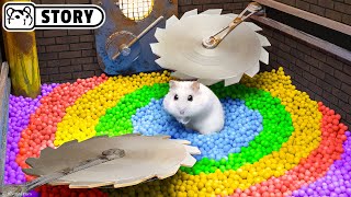 Hamster Escapes The Most Dangerous Prison Maze Homura Ham