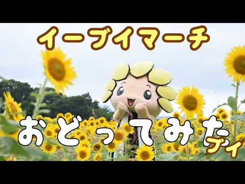 【たまには踊ってみた】イーブイマーチ【ざまりん】