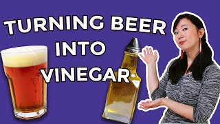Turning Beer Into Craft Vinegar | Miss Brewbird