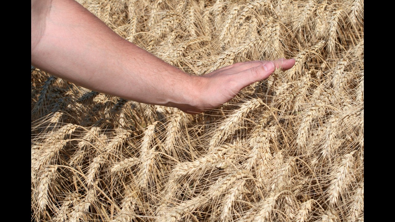 Capítulo 21 - Los Profesionales del Agro Tercera Temporada