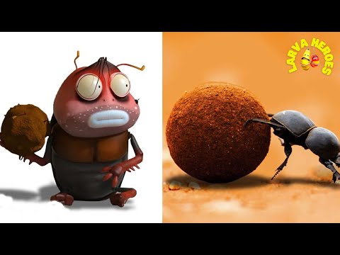 LARVA SEASON 1 EPISODE 80 ~ 315 🍓 Larva Cartoons Comedy New Version 🍉 Cartoon For Life