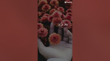 سورة يوسف للقارئ عبدالعزيز سحيم #تلاوة_خاشعة #راحة_نفسية #عبدالعزيز_سحيم