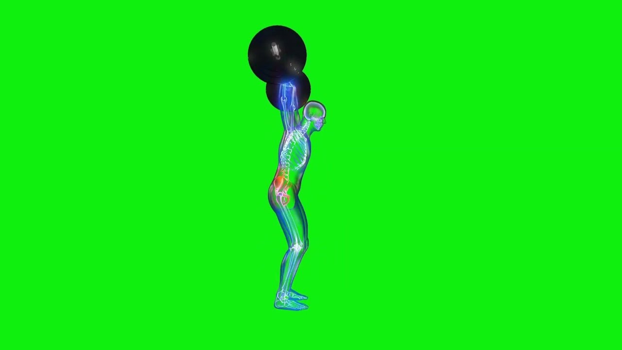 Athlete xray workout green screen YouTube