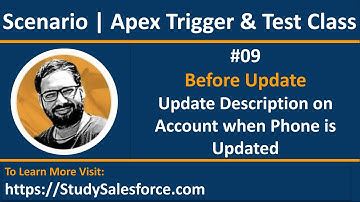 09 Trigger & Test Class Scenario | Before Update | Update Description on Account when Phone updated