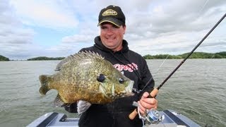 Mid Summer Panfish