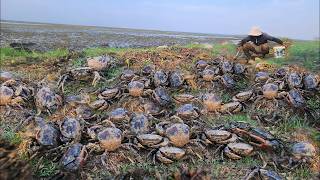 Unique Fishing ! In dry season I come River dig hole crabs got a lot for food today