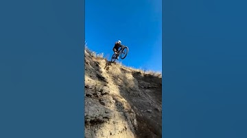 Telzen - A Modern Telecom App | Netro Systems #telco #telecommunication #software  #netrosystems