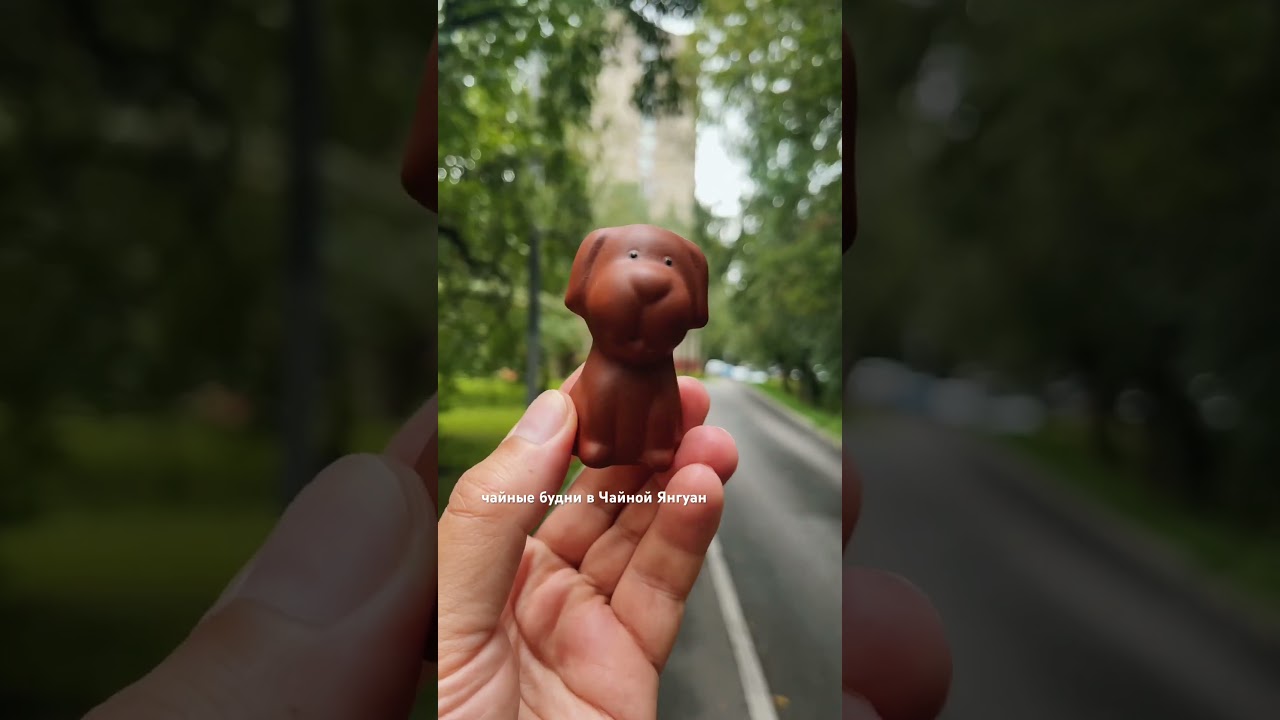 Чайные будни в Чайной Янгуан 