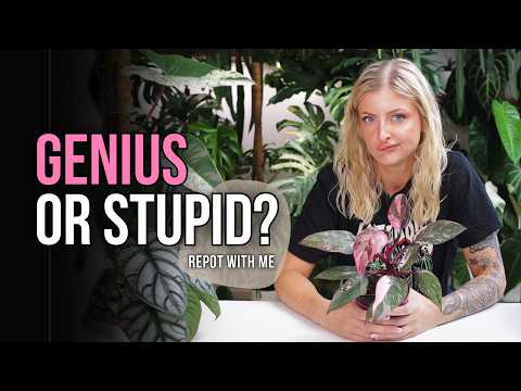 Unhinged Idea or Genius Hack?? | Repot With Me
