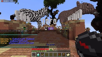 cubecraft hacker #9