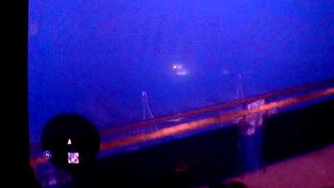 Saints row the third skydiving glitch