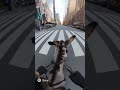 Riding on the donkey through Manhattan #nyc  #riding #donkey #cars