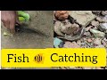 Fish Catching video|| Fish after Monsoon Rain || #fishcatchingvideosinvillage #fishingvideo
