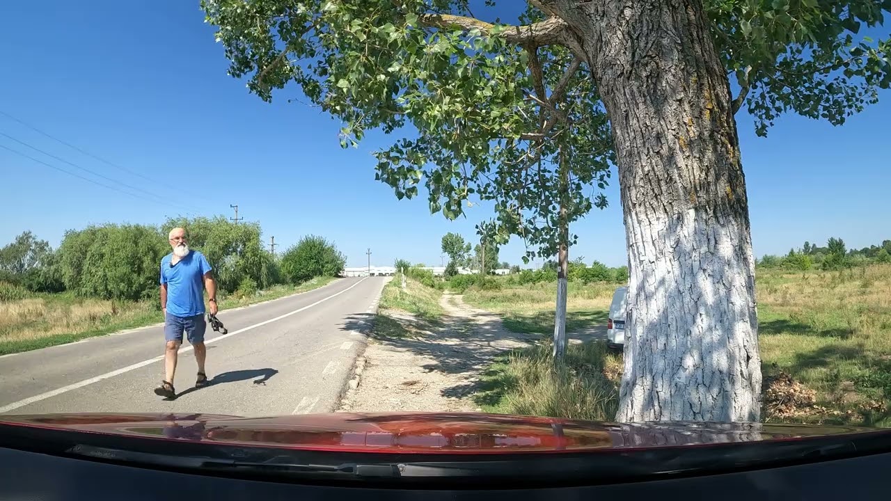 Clenii pe râul Colentina resuscitați de un firicel de apă!