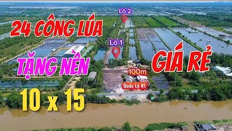 Full toàn tập 24 công lúa xã Giang Thành - An Giang || Ivan Tùng || GIÁ TỐT 