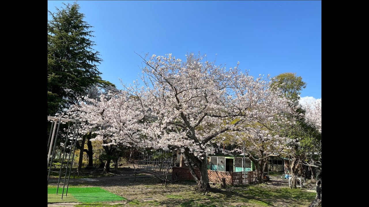 6年生を送る会動画